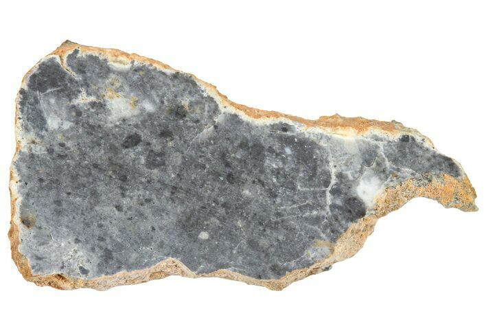 Lunar Meteorite ( g) Slice - Bechar #360566
